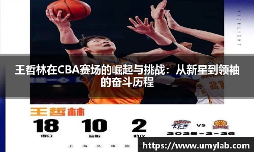 王哲林在CBA赛场的崛起与挑战：从新星到领袖的奋斗历程